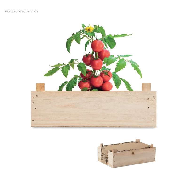 Kit de cultivo madera tomates RG regalos